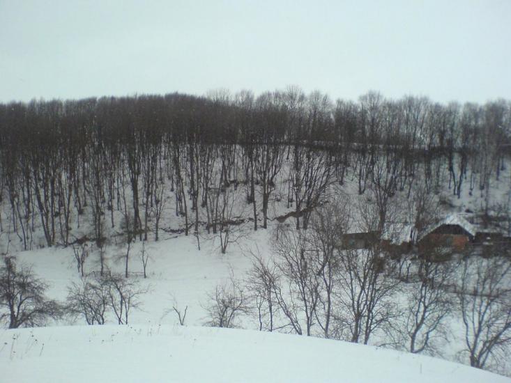 Ставище з panoramio.com - Ставище
