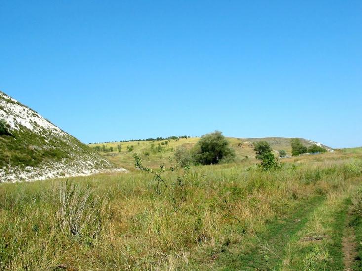 Першомар'ївка з panoramio.com - Першомарьевка