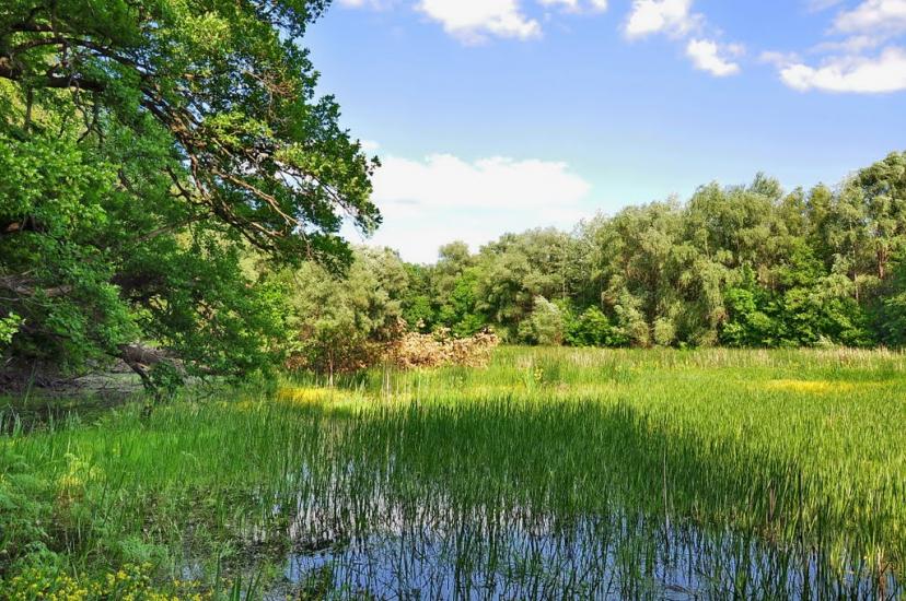 Шипилівка з panoramio.com - Shypylivka