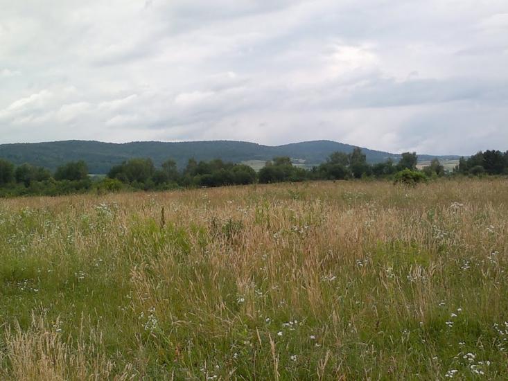 Трушевичі з panoramio.com - Трушевичи
