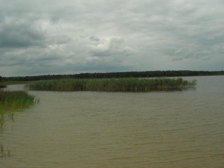 Згорани з panoramio.com - Згораны