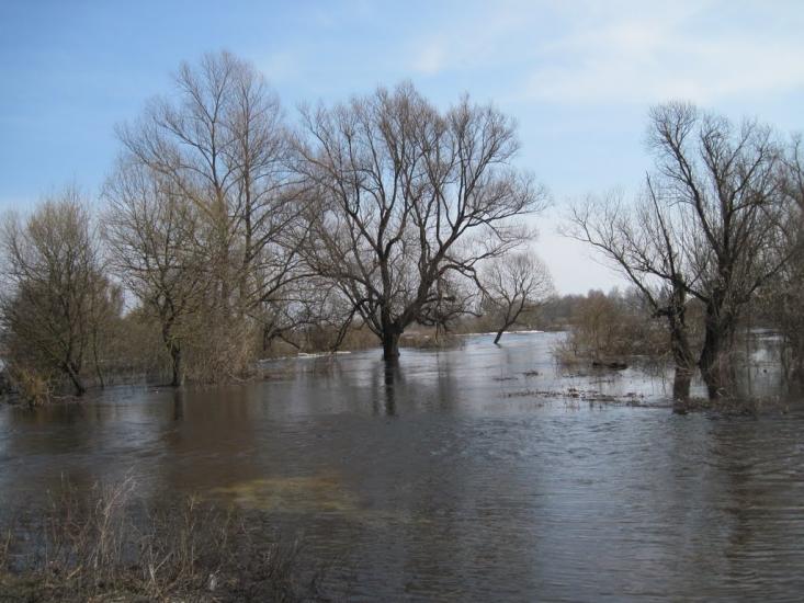 Киселівка з panoramio.com - Kyselivka