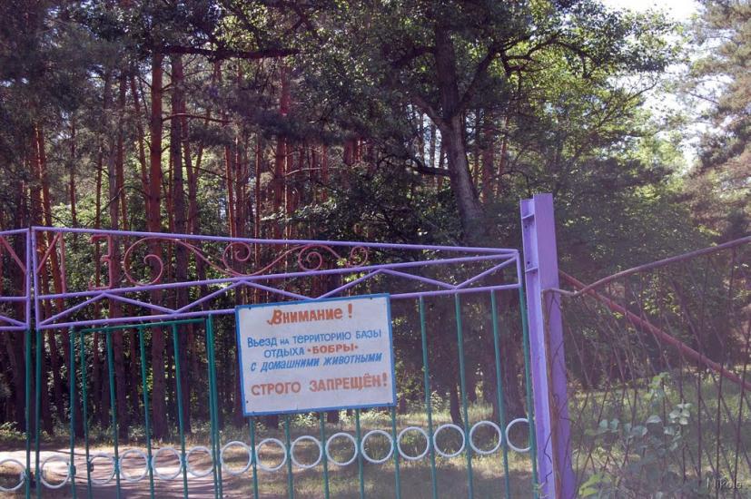Нижнє з panoramio.com - Nyzhnye