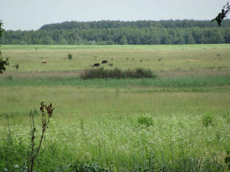 Віленька з panoramio.com - Vilenka