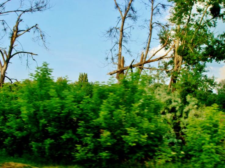Медвин з panoramio.com - Медвин