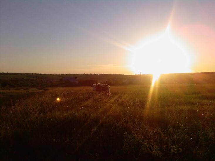 Вільхівка з panoramio.com - Вільхівка
