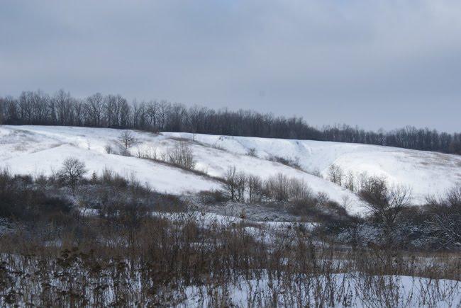 Борщова з panoramio.com - Borschova