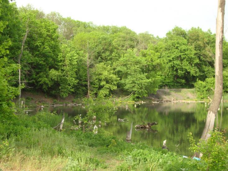 Сєверне з panoramio.com - Syeverne