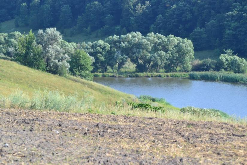 Грабовське з panoramio.com - Грабовское