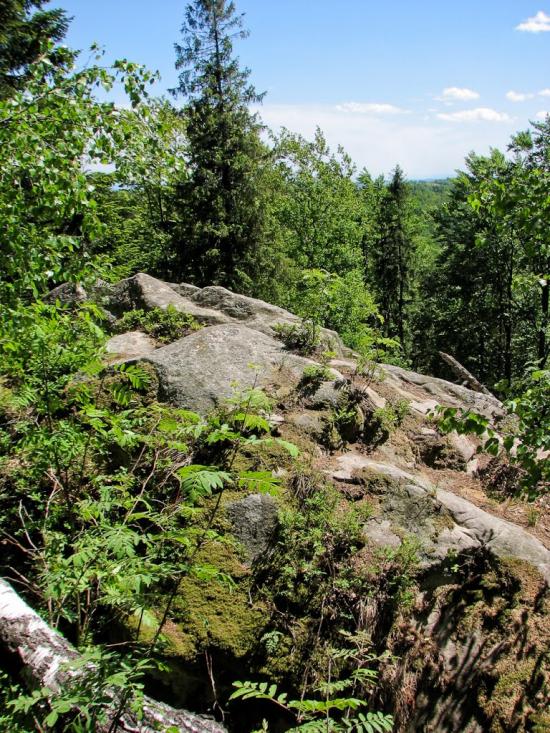Труханів з panoramio.com - Труханов