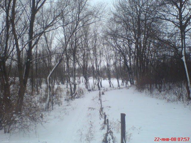 Попівка з panoramio.com - Поповка