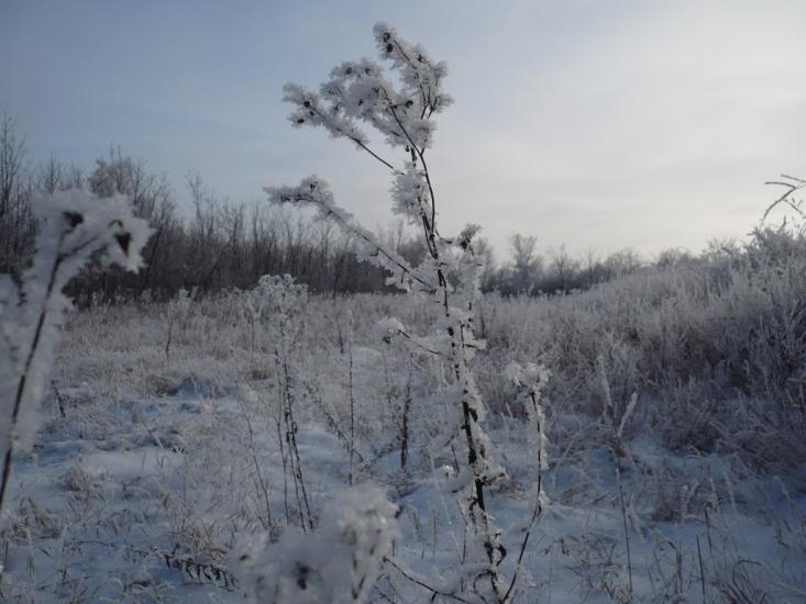 Великий Бурлук з panoramio.com - Великий Бурлук