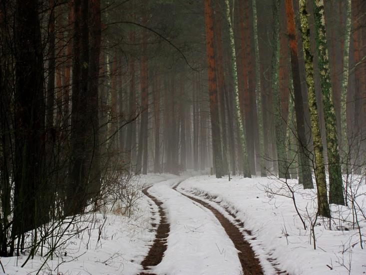 Нові Яриловичі з panoramio.com - Новые Ярыловичи