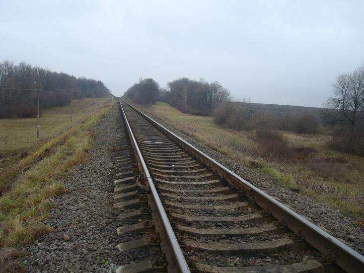Кузьмин з panoramio.com - Кузьмин