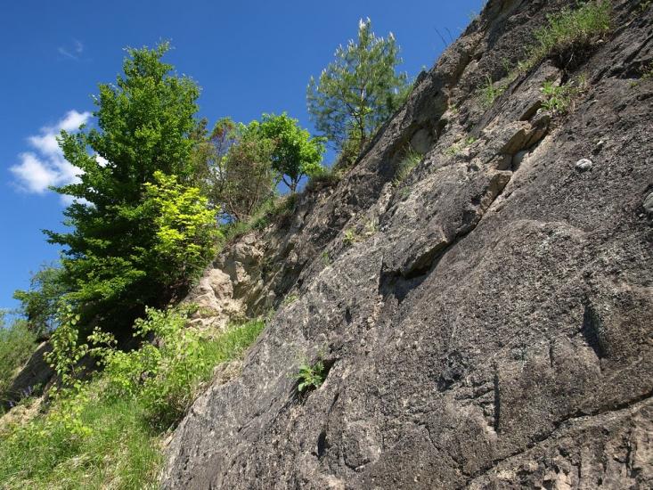 Трушевичі з panoramio.com - Трушевичи