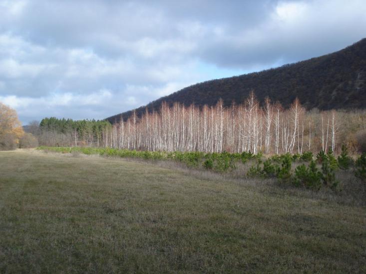 Овражки з panoramio.com - Овражки