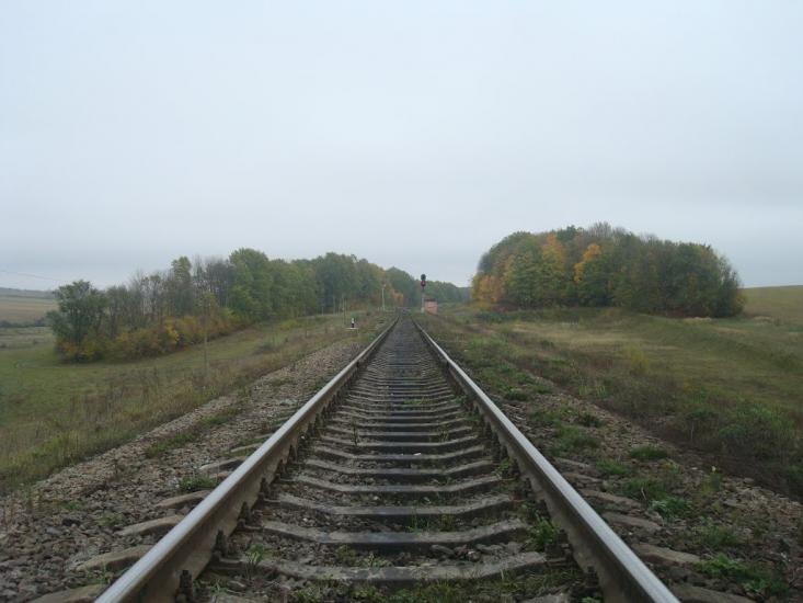 Малиничі з panoramio.com - Малиничи