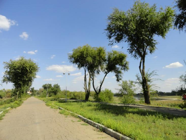 Широка Дача з panoramio.com - Широкая Дача