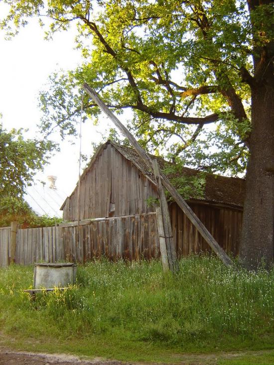 Нові Яриловичі з panoramio.com - Новые Ярыловичи