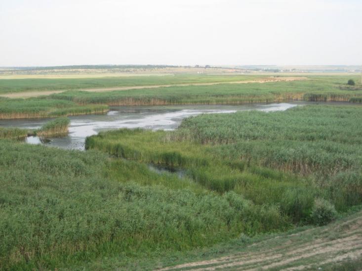 Інгулка з panoramio.com - Ингулка