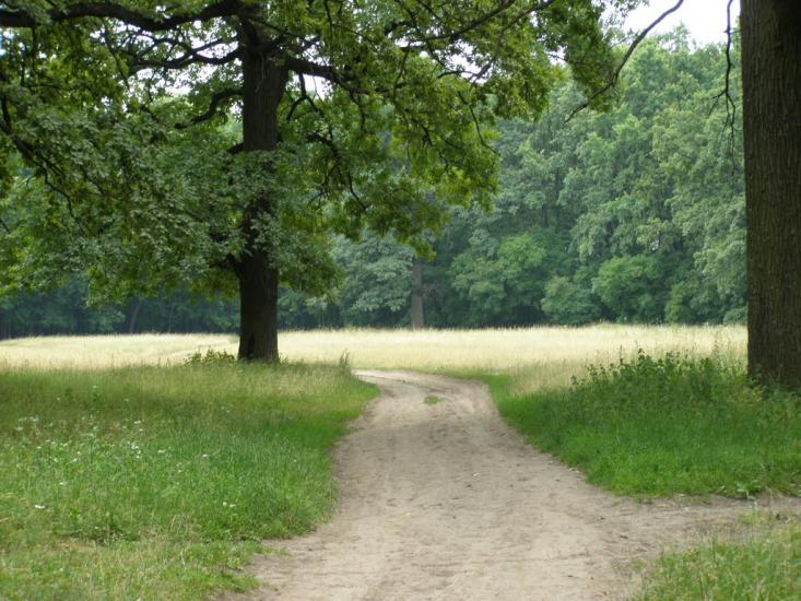 Люботин з panoramio.com - Люботин