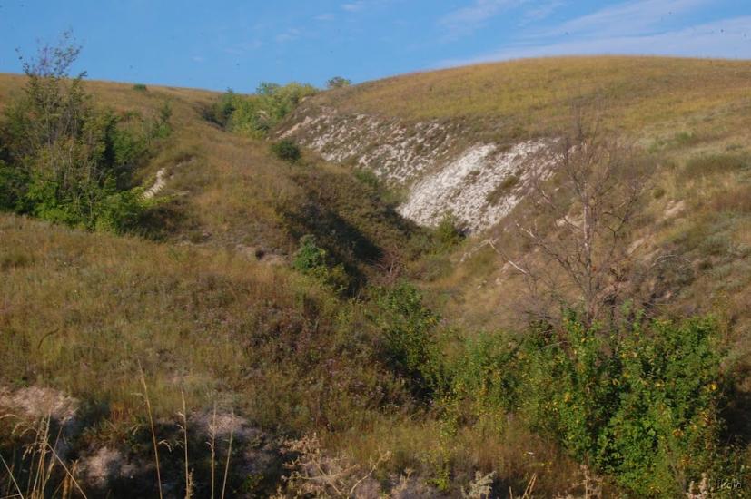 Шипилівка з panoramio.com - Шипилівка