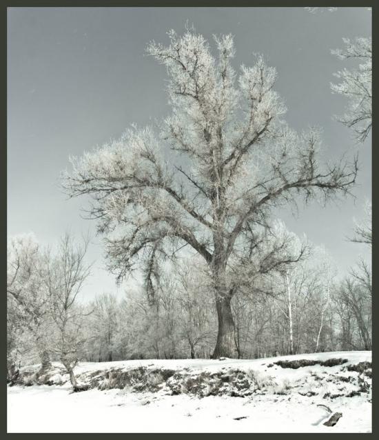 Слов'яносербськ з panoramio.com - Славяносербск