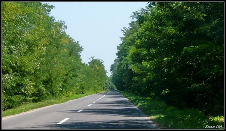 Бадалово з panoramio.com - Бадалово