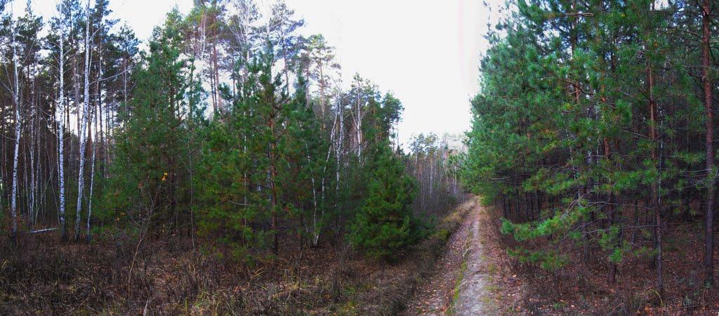 Лабурівка з panoramio.com - Лабуревка