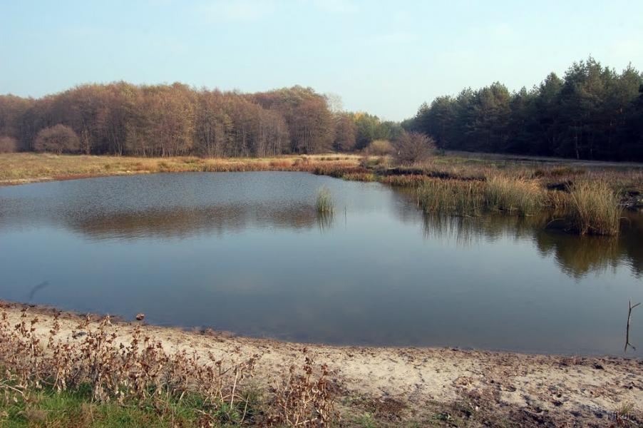 Воронове з panoramio.com - Воронове