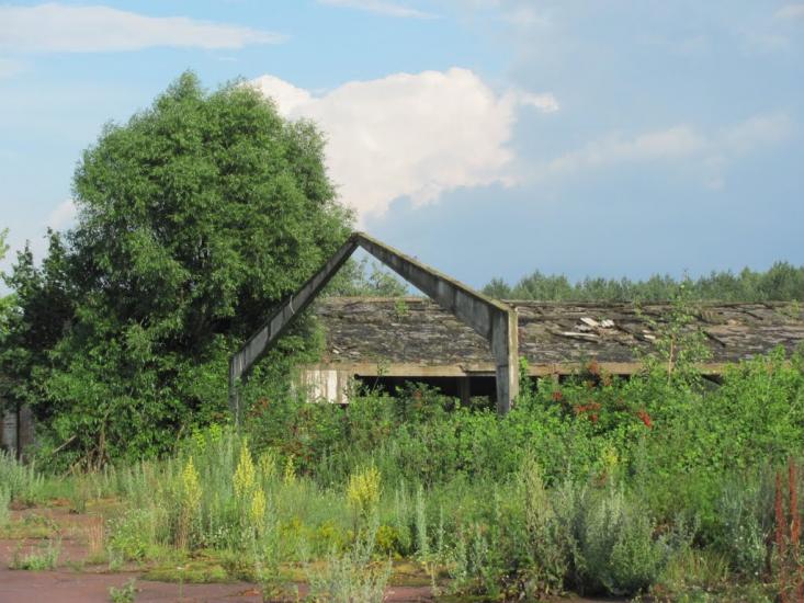 Нові Яриловичі з panoramio.com - Нові Яриловичі