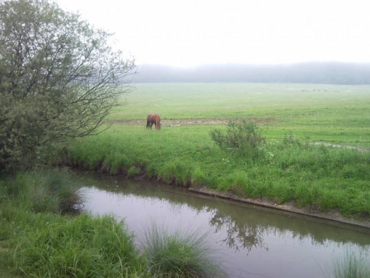 Великі Глібовичі з panoramio.com - Великие Глебовичи