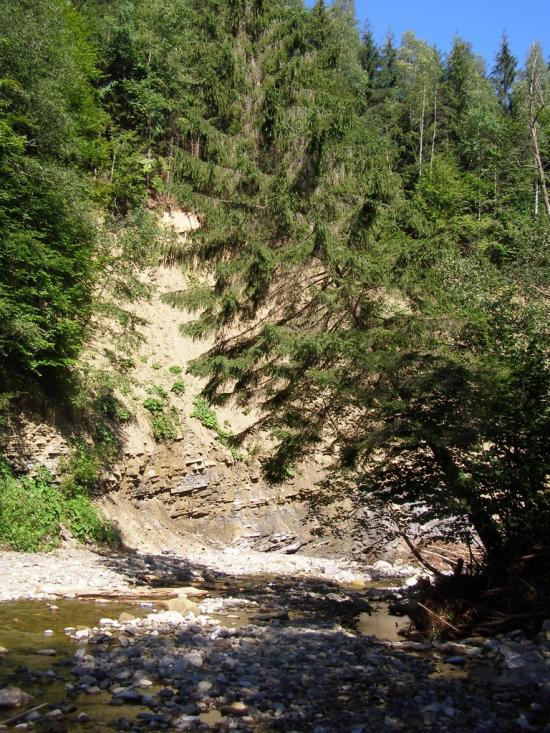 Букове з panoramio.com - Букове