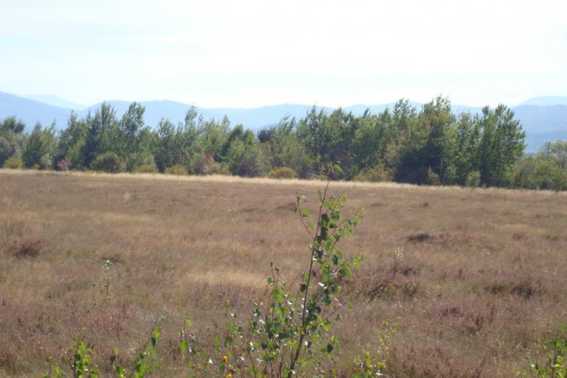 Ценява з panoramio.com - Ценява