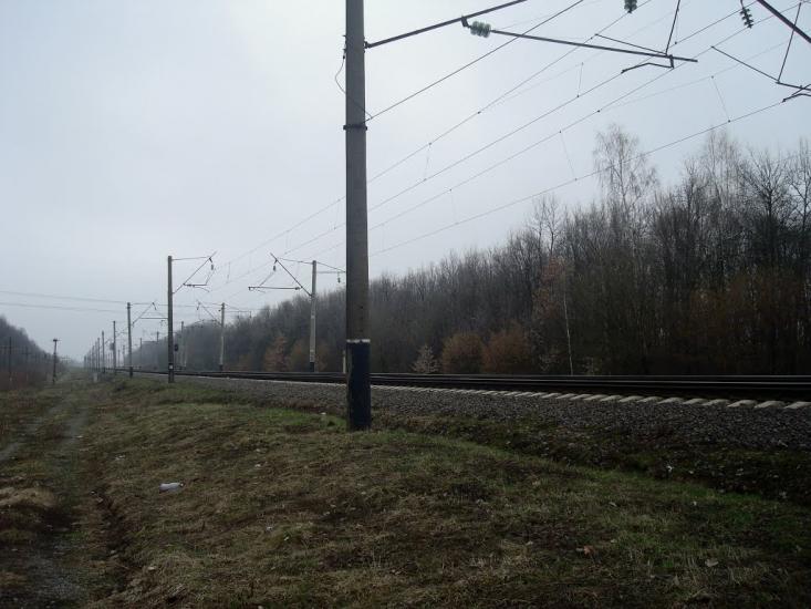 Васютинці з panoramio.com - Васютинці
