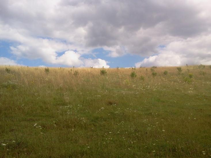 Великий Омеляник з panoramio.com - Великий Омеляник