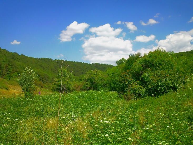 Багата Ущелина з panoramio.com - Bagata Uschelyna