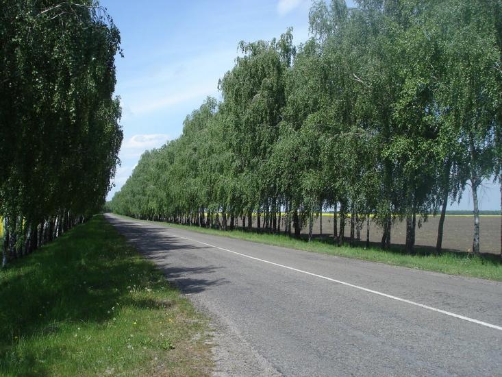 Панфили з panoramio.com - Панфили