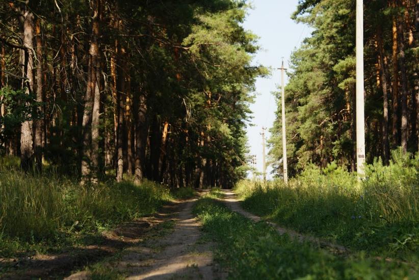 Верхоли з panoramio.com - Верхолы