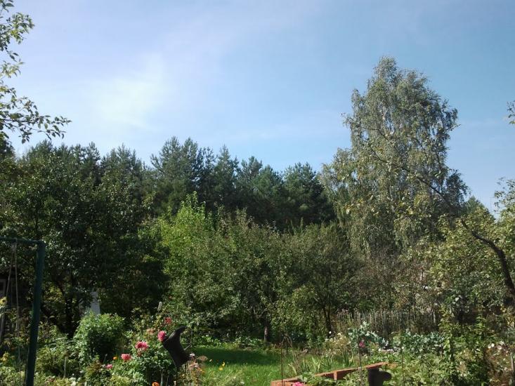 Торф'яне з panoramio.com - Торф'яне