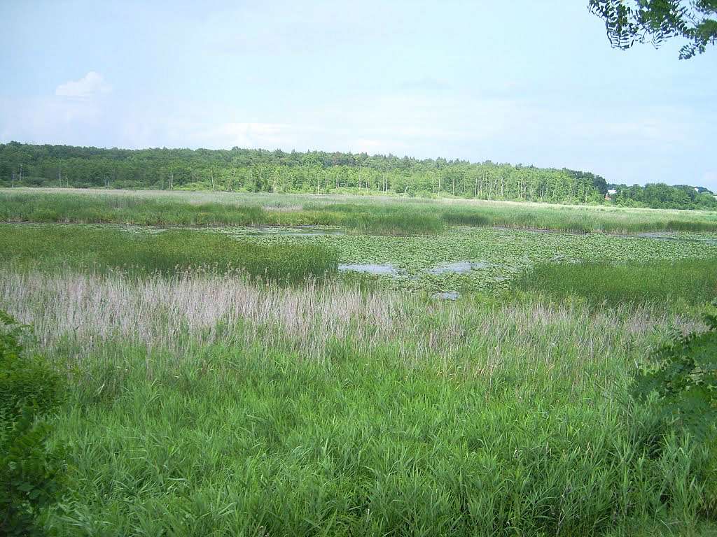 с. Пархомівка  - Пархомівка