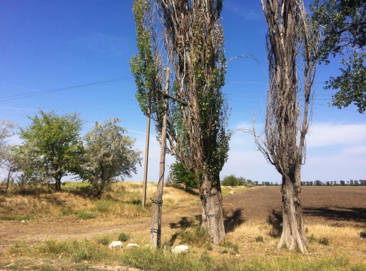 Дрофине з panoramio.com - Дрофине