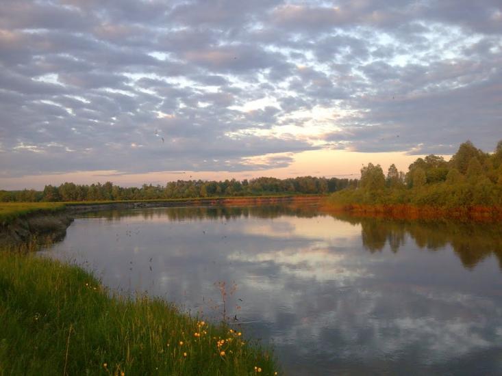 Новомутин з panoramio.com - Novomutyn