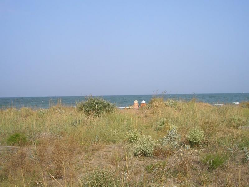 Костиріне з panoramio.com - Костырино