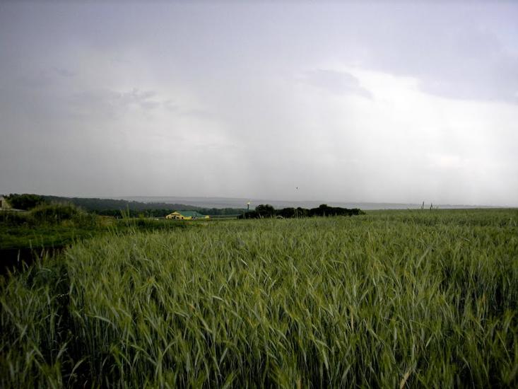 Висока Яруга з panoramio.com - Висока Яруга