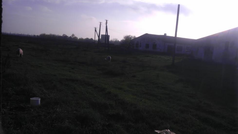 Полігон з panoramio.com - Полігон