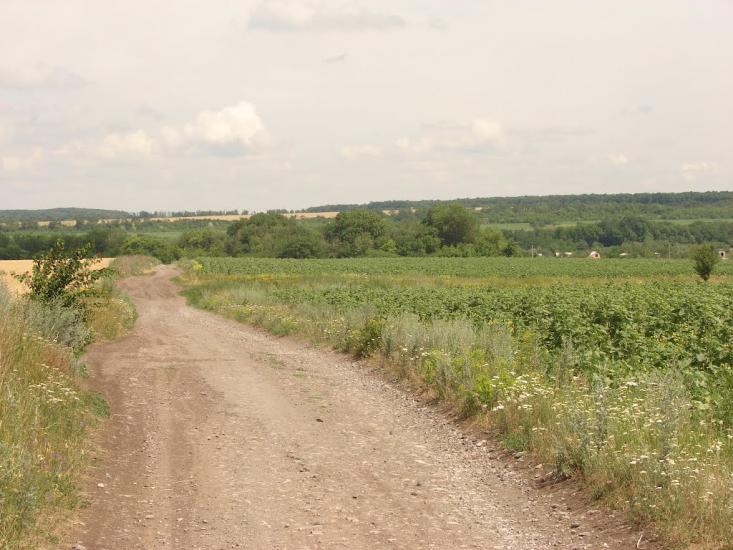 Новий Донбас з panoramio.com - Новый Донбасс