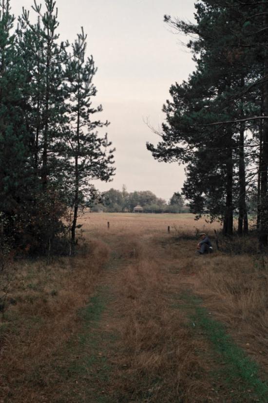 Шведчина з panoramio.com - Шведчина