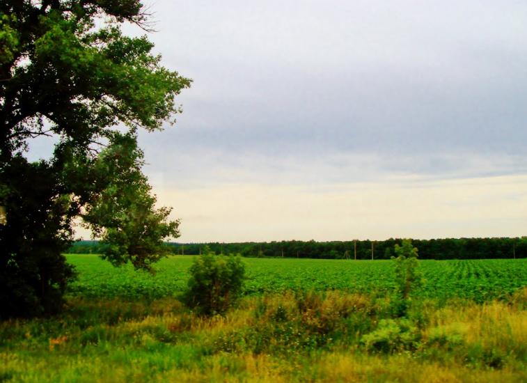 Звенигородка з panoramio.com - Звенигородка