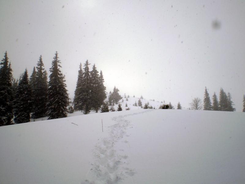 Стебний з panoramio.com - Стебний